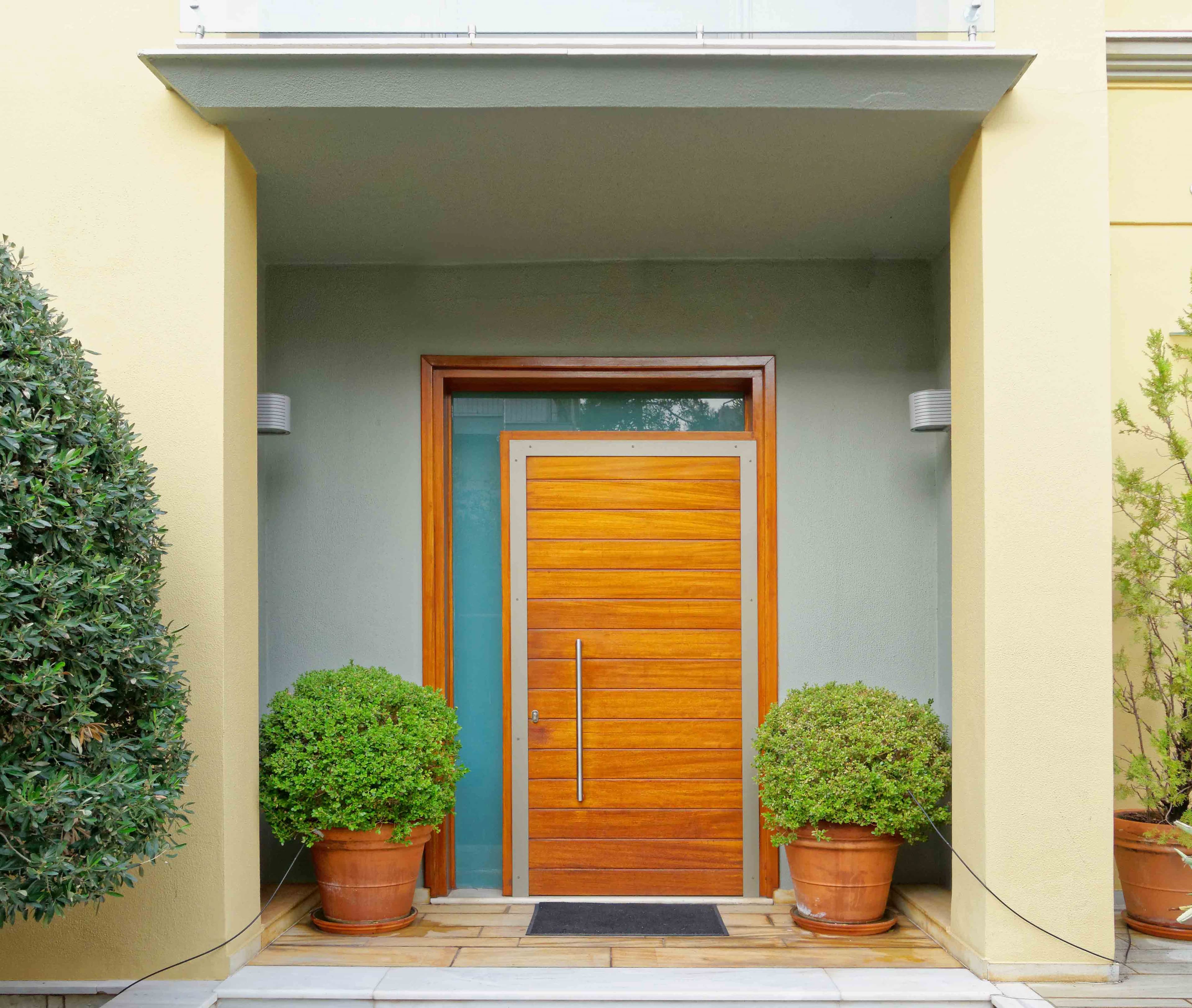 entry door image