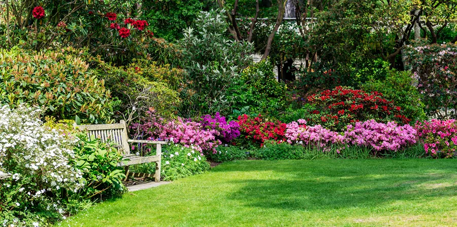spring flower garden created by following gardening tips