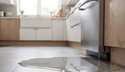 5 Reasons Why Your Dishwasher Is Leaking from the Bottom | Sears Home