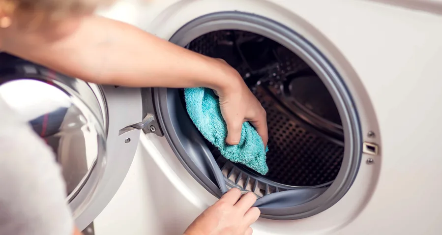cleaning mold from the front-load washer door boot